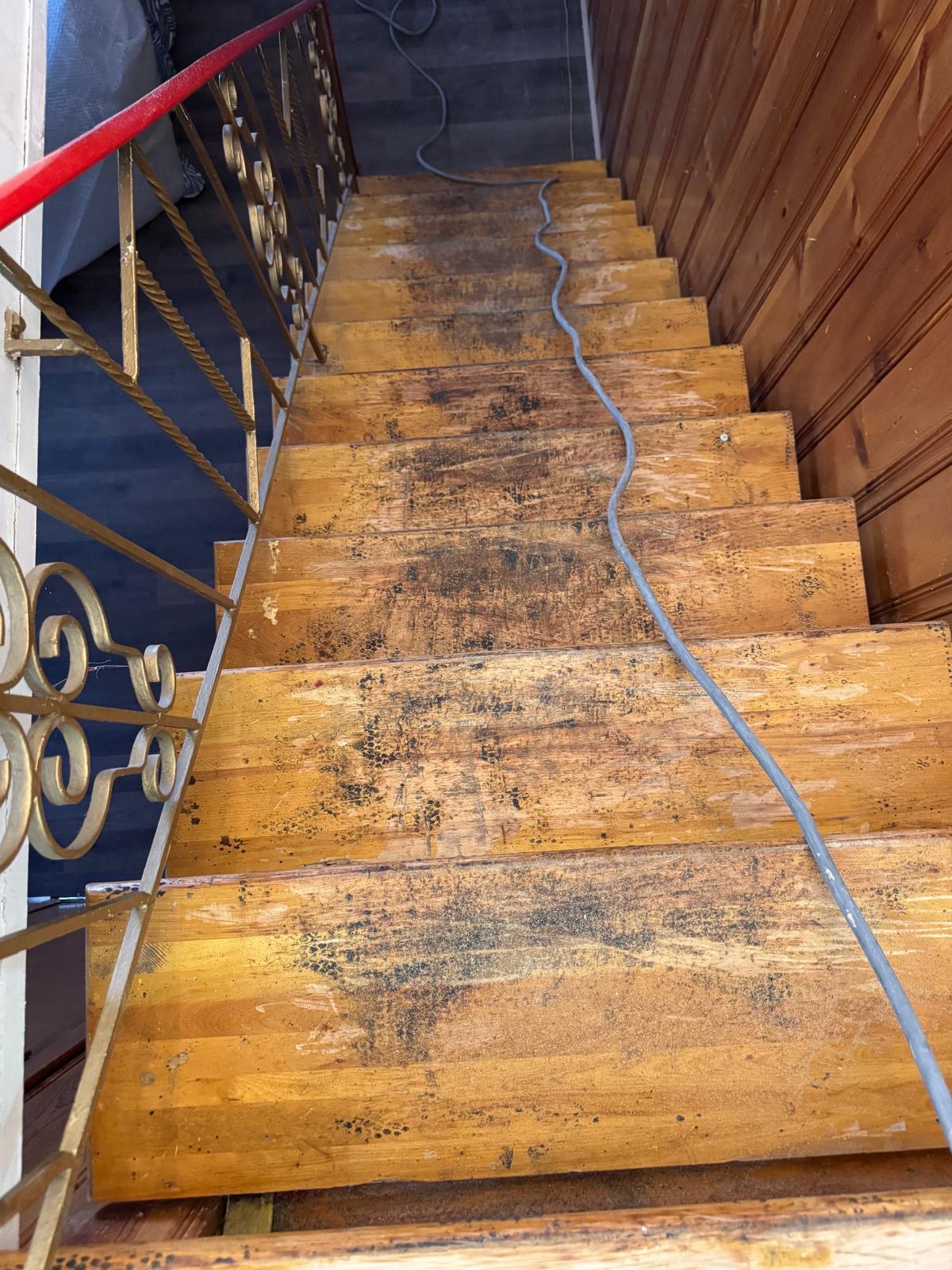 Marches du deuxième escalier très marquées avant la restauration
